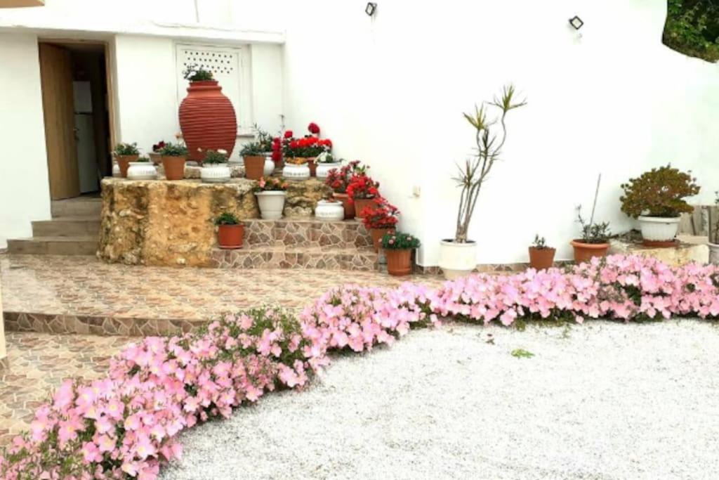 Newly Reconstructed Flat 107Sqm! Apartamento Chania  Exterior foto